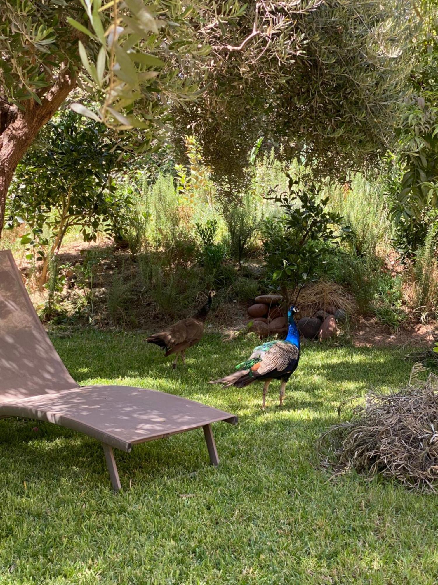Jardin Sakina - Chambre D'Hotes Oulad Moumene Eksteriør billede