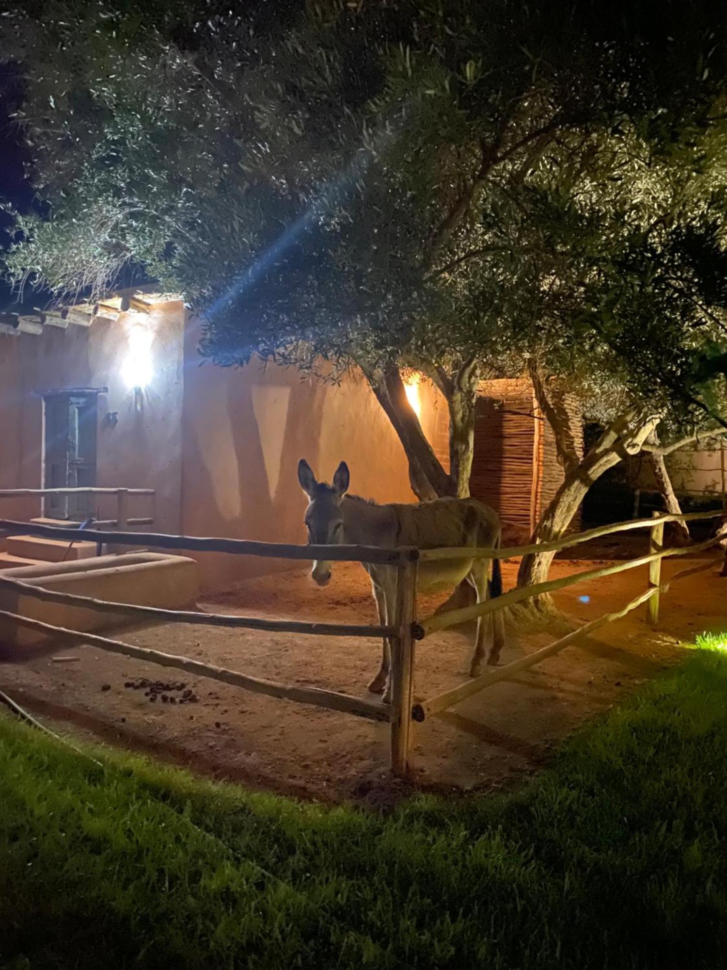 Jardin Sakina - Chambre D'Hotes Oulad Moumene Eksteriør billede